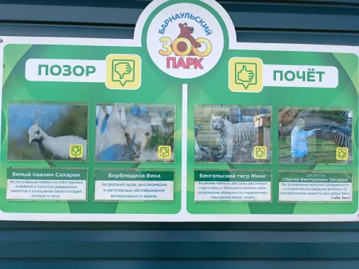 Зоопарк "Лесная сказка"