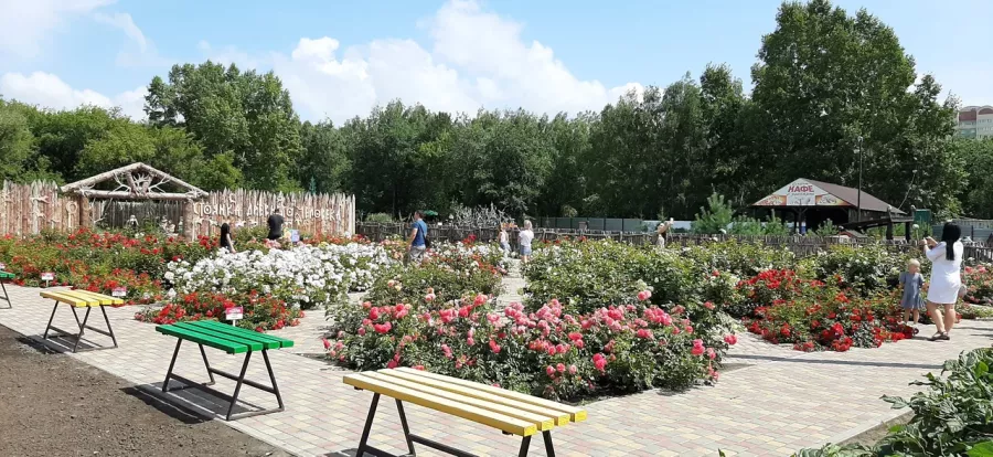 Зоопарк Лесная сказка в Барнауле: Зоопарк, Любимцы, Дети, Чилим, Птицы, Природа, Zoo, Animals, Кафе,