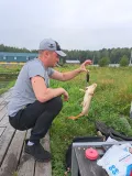 Миниатюра 9