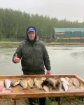 Миниатюра 10