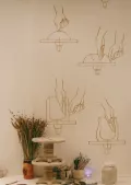 Миниатюра 11