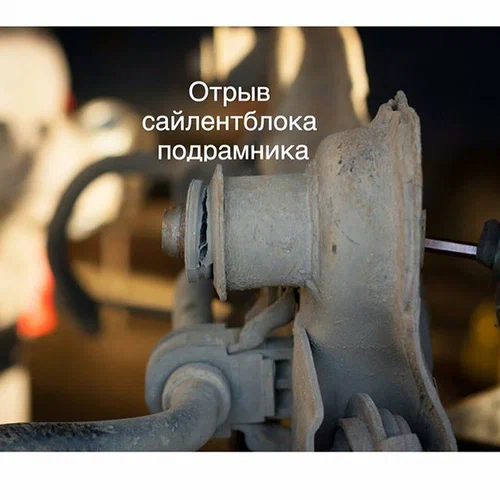 Большое фото 3