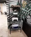 Миниатюра 10