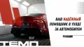 Миниатюра 17