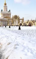 Миниатюра 4