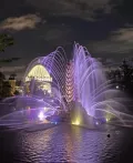 Миниатюра 6