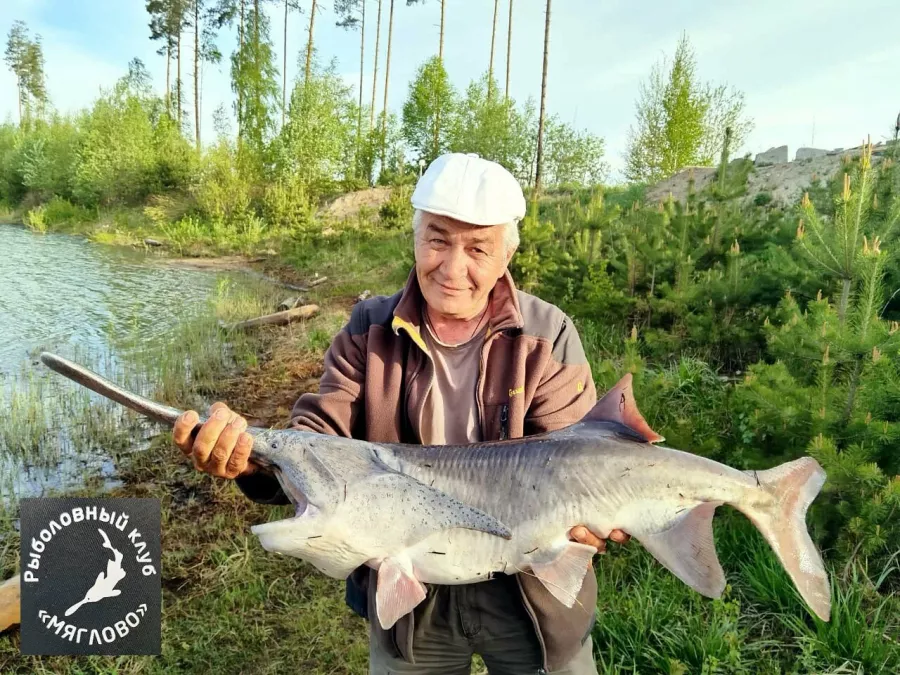 Культурно-рыболовное Хозяйство Мяглово. Рыболовный Клуб в Санкт-Петербурге: Платная Рыбалка, Рыболовный Клуб, Рыбалка в Санкт-Петербурге, Рыбалка на Окуня, Рыбалка на Щуку, Рыбалка на Карпа, Рыбалка на Сома, Рыбалка на Карася, Рыбалка на Линь, Рыбалка на Форель,