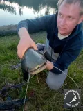 Миниатюра 10