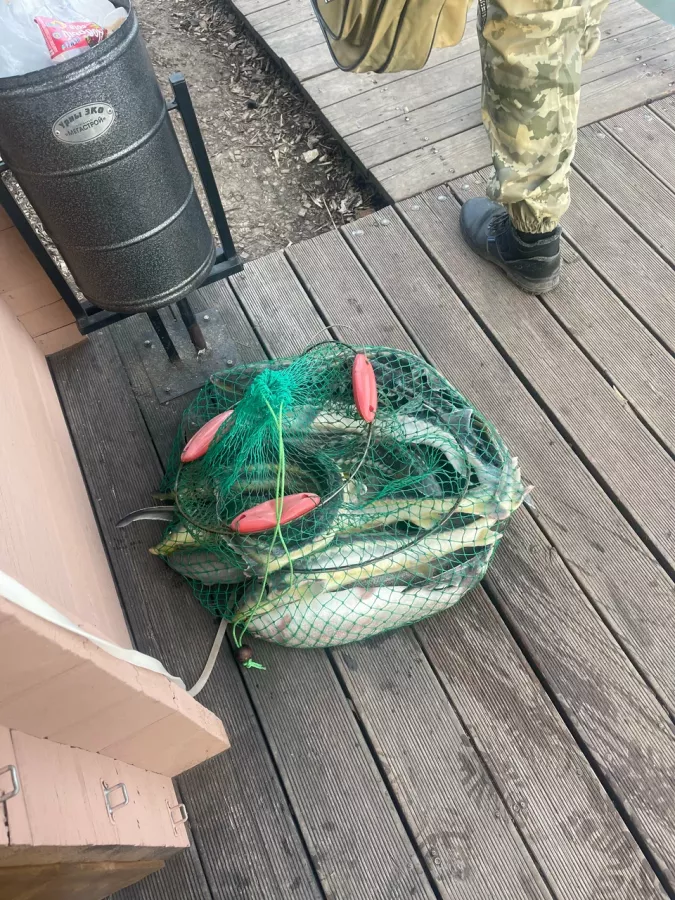 Удача рыбака. Рыболовный Клуб в Казани: Платная Рыбалка, Рыболовный Клуб, Рыбалка в Казани, Рыбалка на Стерлядь, Рыбалка на Белугу, Рыбалка на Осетра, Рыбалка на Форель, Рыбалка на Сома, Рыбалка на Карпа, Рыбалка на Карася ,