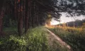 Миниатюра 11