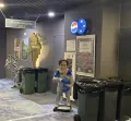 Миниатюра 8