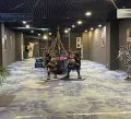 Миниатюра 10
