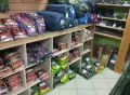 Миниатюра 7