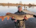 Миниатюра 5