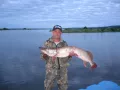 Миниатюра 8