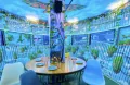 Миниатюра 11