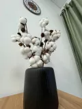 Миниатюра 8