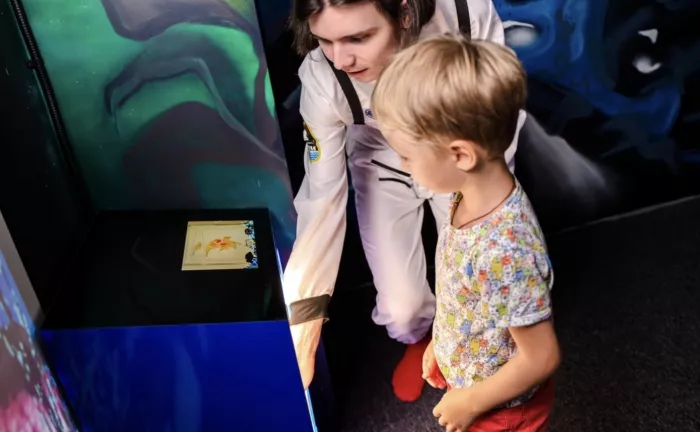 Парк развлечений LaserLand в Казани: Отдых, Семейный отдых , Детский парк, Парк, Горки, 