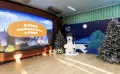 Миниатюра 9