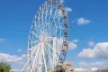 Миниатюра 4