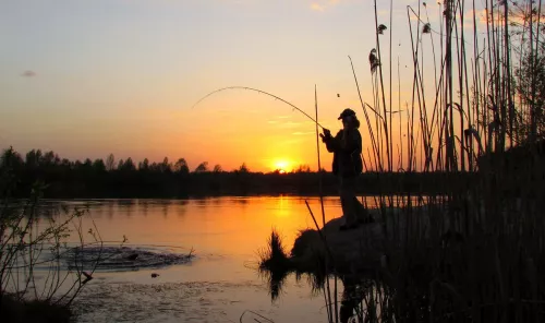 Щукарь. Товары для Рыбалки  в  Волгограде