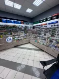 Миниатюра 11
