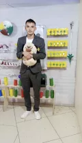Миниатюра 2