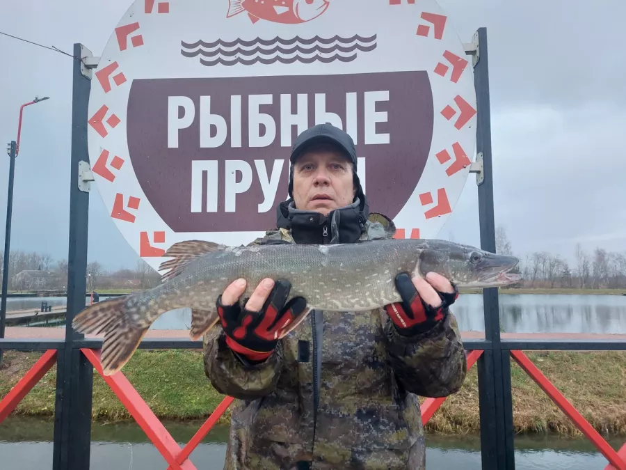 Рыбные Пруды. Клуб Рыболовов в Санкт-Петербурге: Платная Рыбалка, Рыболовный Клуб, Рыбалка на Форель, Рыбалка на Карпа, Рыбалка на Осетра, Рыбалка на Щуку, Рыбалка на Сига, Рыбалка на Линь, Подарочный Сертификат,