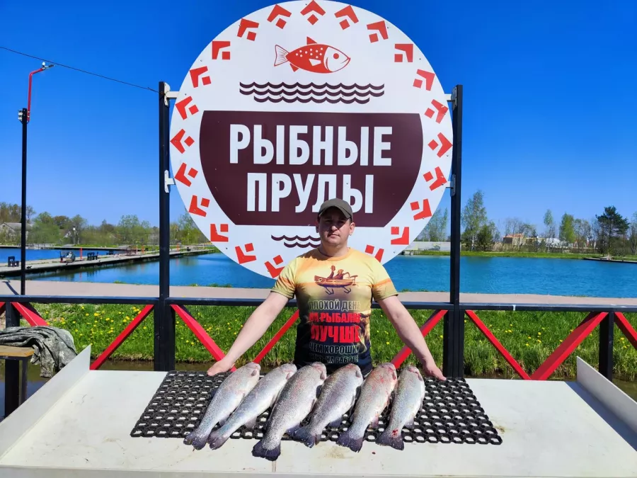 Рыбные Пруды. Клуб Рыболовов в Санкт-Петербурге: Платная Рыбалка, Рыболовный Клуб, Рыбалка на Форель, Рыбалка на Карпа, Рыбалка на Осетра, Рыбалка на Щуку, Рыбалка на Сига, Рыбалка на Линь, Подарочный Сертификат,