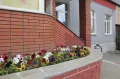 Миниатюра 12