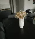 Миниатюра 9