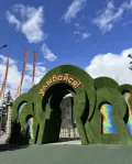 Миниатюра 9