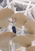 Миниатюра 10