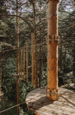 Парк развлечений Sequoia park