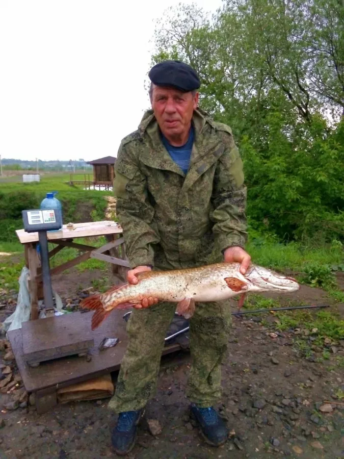 Плехановские Пруды. Рыболовный Клуб в Туле: Платная Рыбалка, Рыболовный Клуб, Рыбалка в Туле, Спортивная Рыбалка, Трофейная Рыбалка, Рыбалка на Карпа, Рыбалка на Форель, Рыбалка на Сома, Рыбалка на Щуку, Рыбалка на Линь,