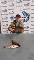 Миниатюра 11
