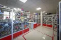 Миниатюра 18