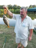 Миниатюра 8