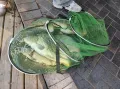 Миниатюра 7