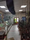 Миниатюра 6