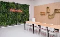 Миниатюра 11