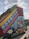 Миниатюра 4