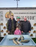 Миниатюра 3