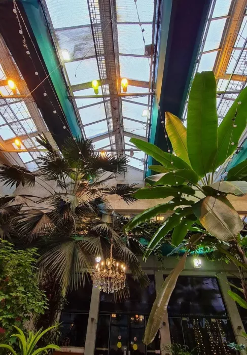 Кофейня-коворкинг Chocolate Bar Secret Garden в Санкт-Петербурге: Бизнес, Место для работы, Десерты, Где работать, Кофейня, Для работы, Кофе, Можно с ноутбуком, Салаты, 