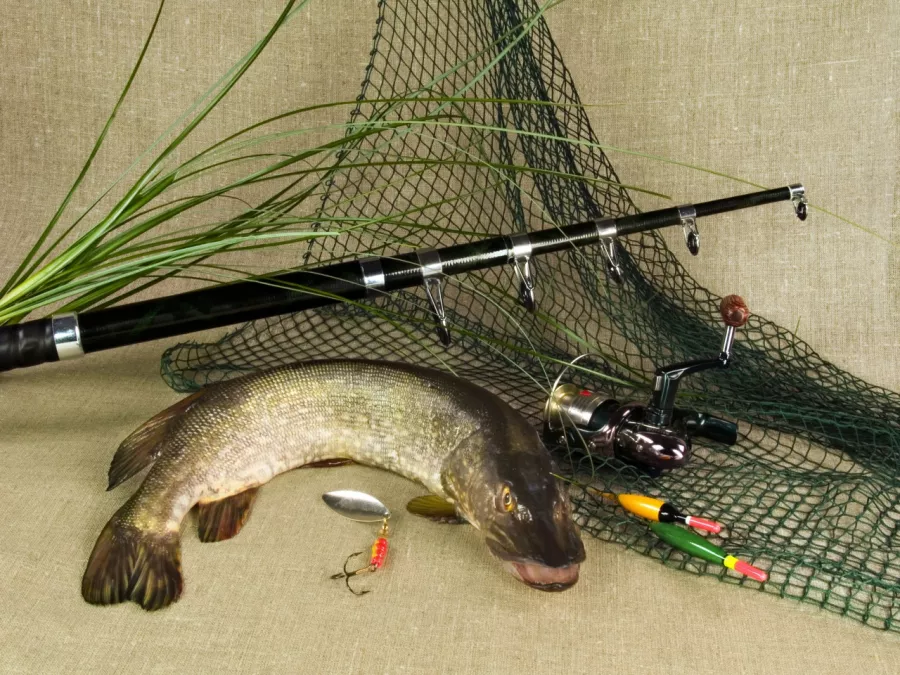 Бадис. Товары для Рыбалки в Новосибирске: Рыбалка,