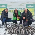 Миниатюра 8