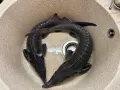 Миниатюра 11