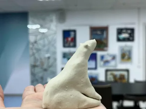 Музей Арктическое посольство  в  Архангельске