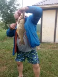 Миниатюра 9