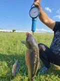 Миниатюра 7